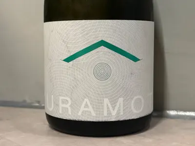 Kuramoto SE